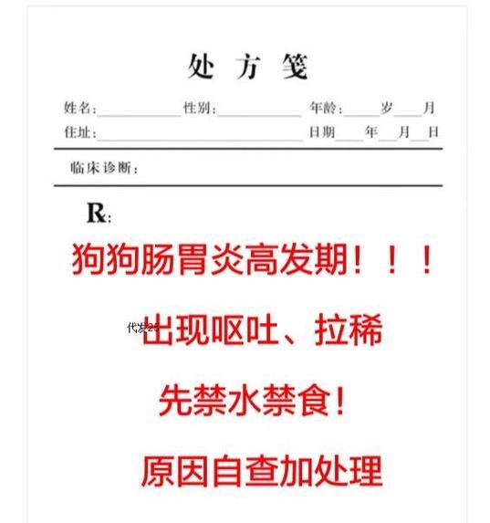 幼犬拉稀应禁食多久？（为何需要禁食？如何正确处理？）