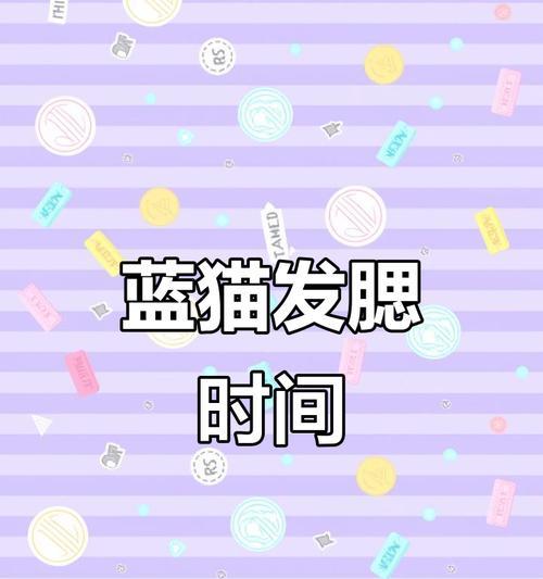英短蓝猫的成年时间和关键因素（探讨英短蓝猫成年所需的时间及其影响因素）
