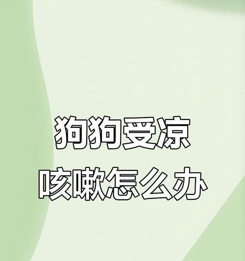 小狗感冒的症状及治疗方法（详解小狗感冒的常见症状和有效的治疗方法）