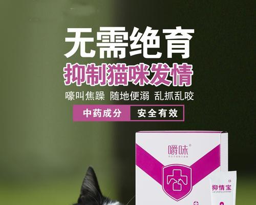 守时之爱（细数恋爱的节奏与规律）