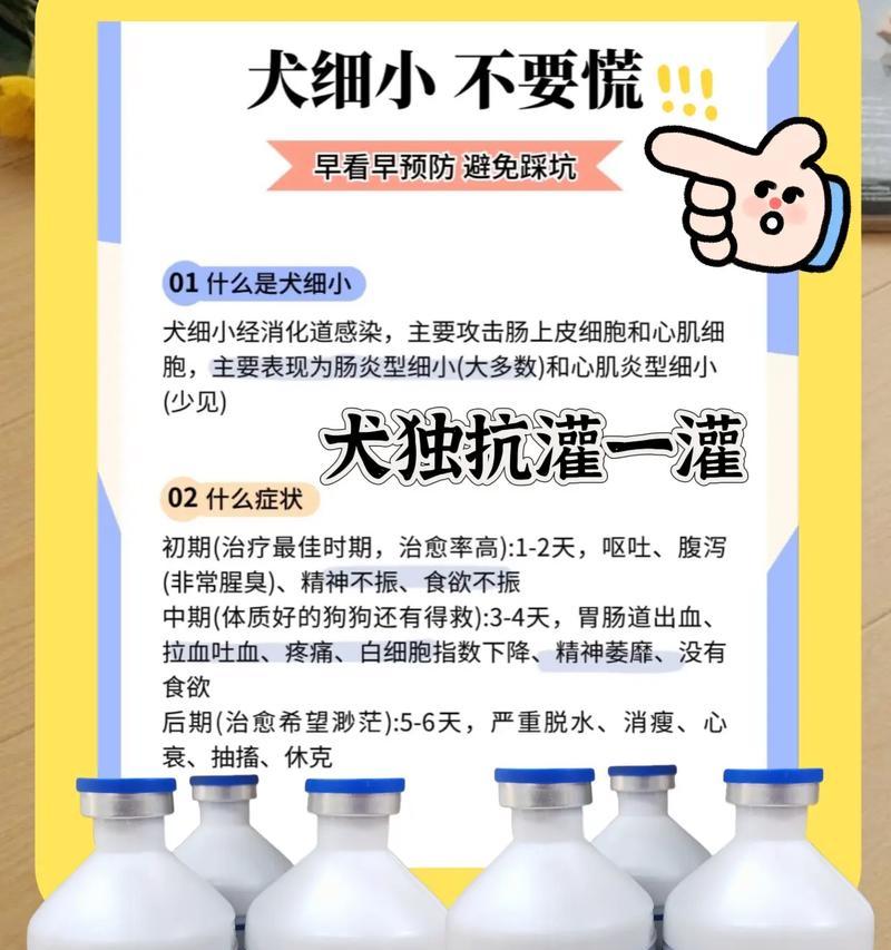 细小感染的症状及家庭治疗方法（了解细小病毒）