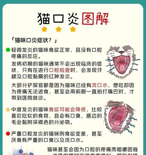 探讨猫咪口炎的原因和处理方法（了解口炎的危害及对猫咪口腔健康的重要性）
