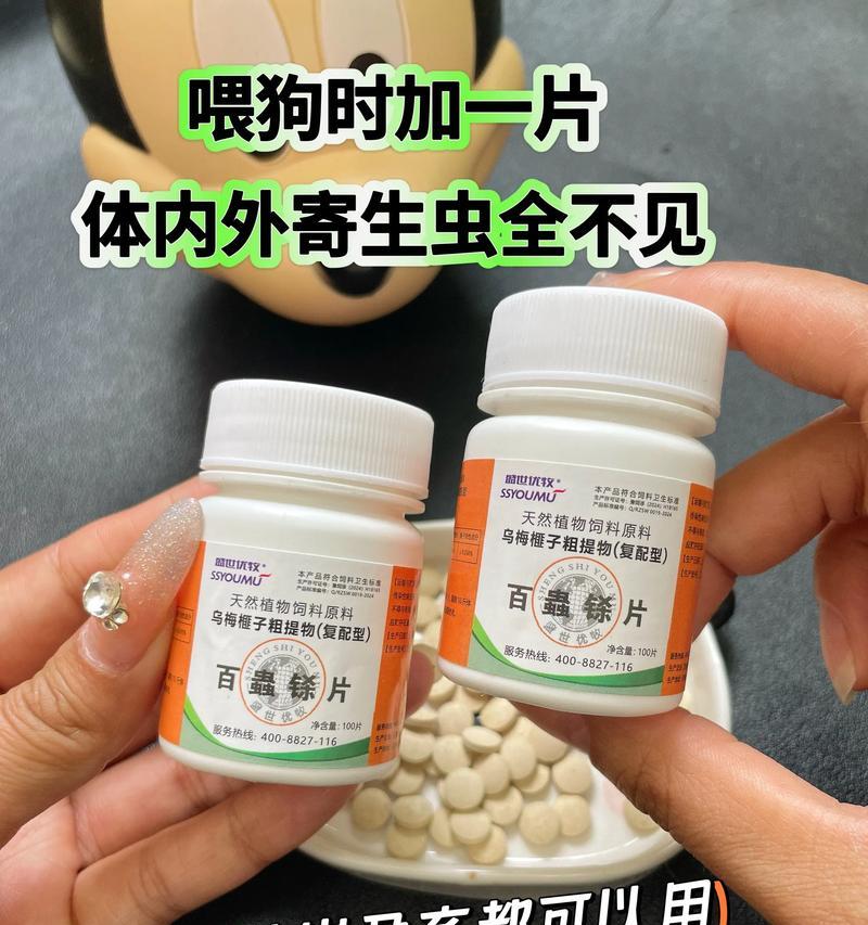 小狗驱虫后多久可以喂食？（合理饮食是宠物狗健康的关键）