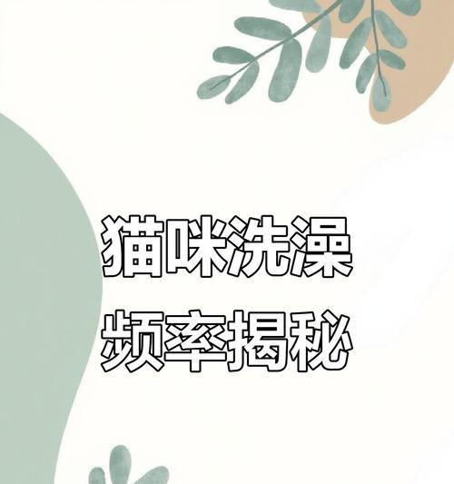 猫咪洗澡的频率及注意事项（如何科学地为猫咪洗澡，让它们健康快乐）