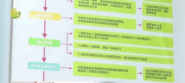 了解狗狗带狂犬病的症状，保护你的宠物健康（病从口入，重视预防！）