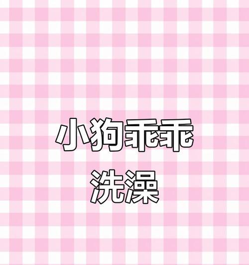 萨摩耶狗洗澡频率之探讨（为你的萨摩耶制定适当的洗澡计划）