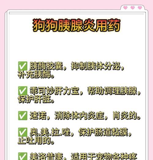 狗狗胰腺炎的康复时间究竟需要多久？（探究狗狗胰腺炎治愈过程及其关键因素）