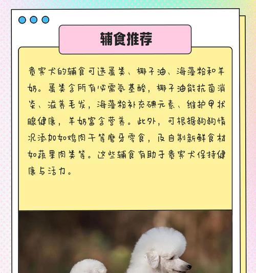 贵宾美容的频率与（了解贵宾美容的适宜时间间隔，让您的宠物保持良好形象）