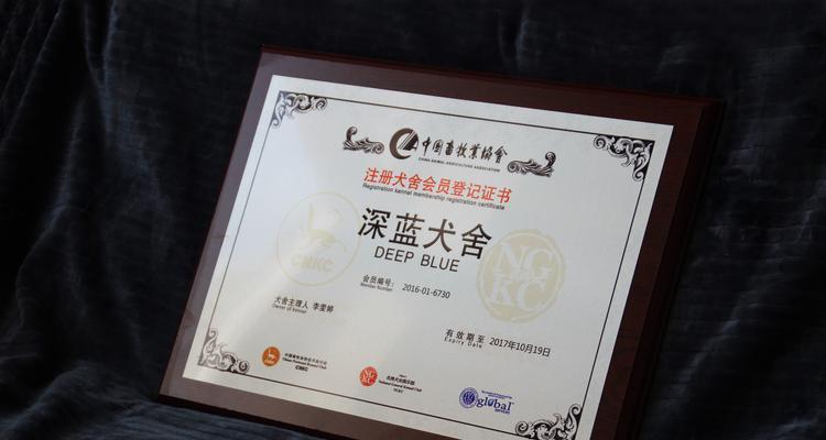 中国犬业协会（关注犬类福利，引领中国犬业发展的先驱）
