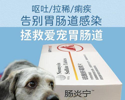 狗狗可以吃哪些抗生素？（了解狗狗可安全使用的抗生素种类及注意事项）