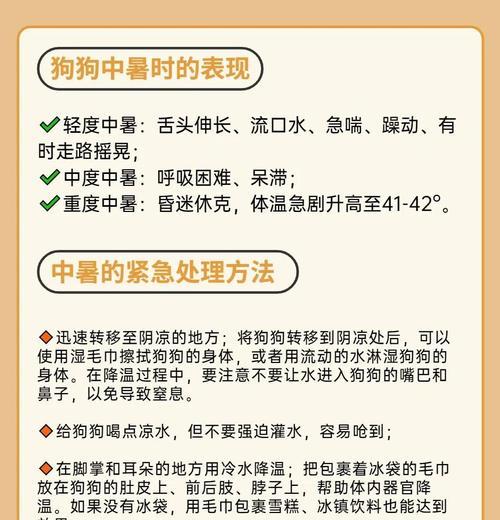 如何辨别和预防狗中暑？（了解狗中暑的症状及保护你的宠物）