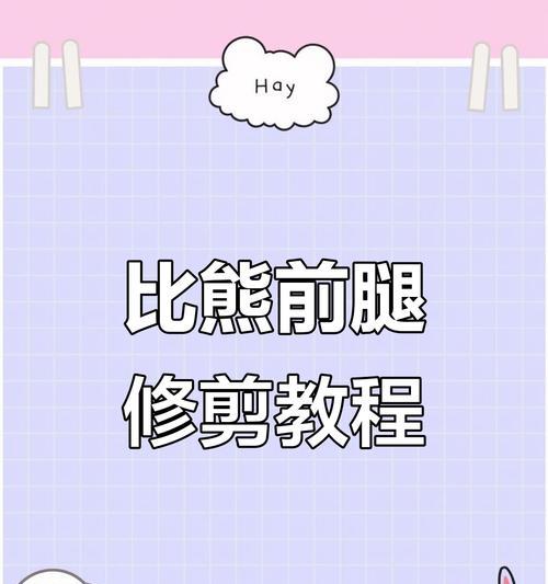 合适的比熊剪毛频率——美容与保护的平衡（如何根据比熊的生活习性和毛发状态制定剪毛计划）