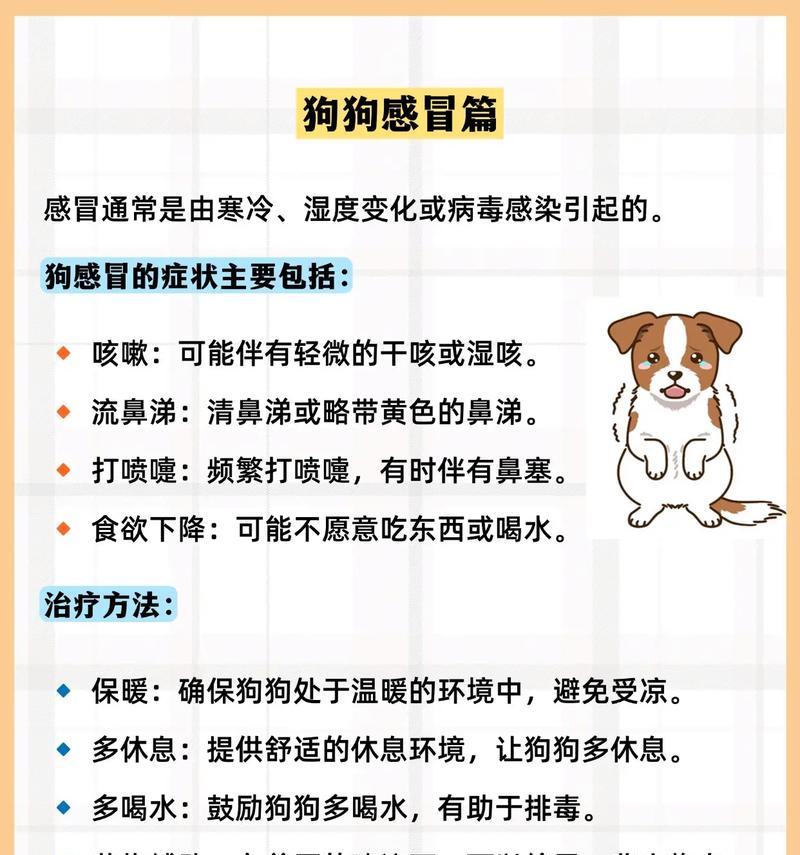 狗狗患上犬瘟能存活多久？（探究犬瘟病的影响因素与生存期限）
