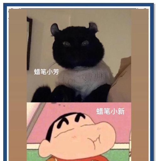 解密猫咪发腮的神秘行为（揭秘猫咪发腮的真实意义与背后的秘密）