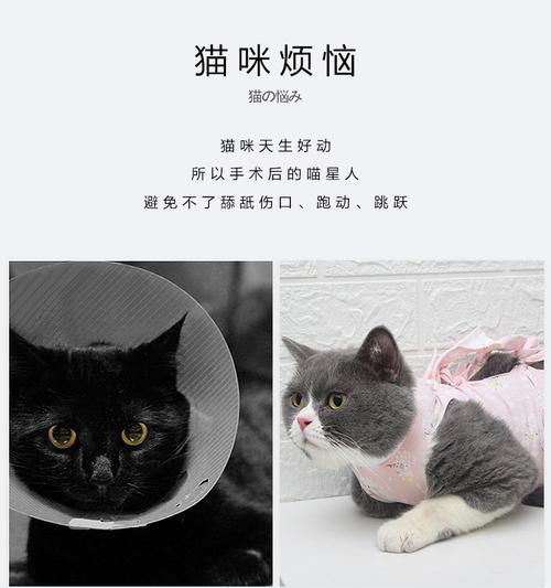猫手术服拆除时间及注意事项（了解猫手术服拆除时间的重要性及正确操作方法）