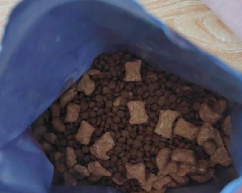 猫咪呕吐和拉稀了是什么疾病？（警惕猫瘟和猫传染性腹膜炎的危害）