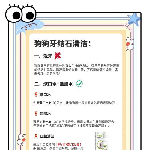 狗狗牙齿出了问题怎么办？（预防是关键，牙齿问题的治疗方法解析）