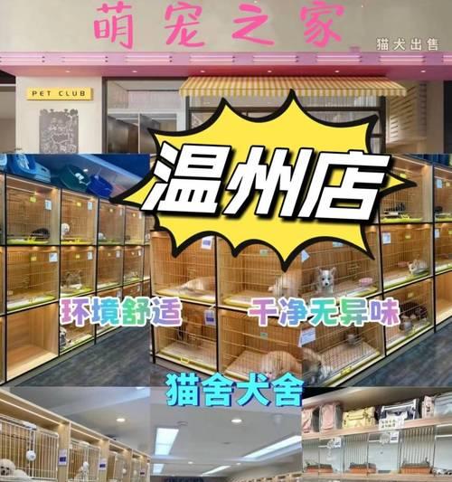萨摩耶能跑多久一次？（了解萨摩耶狗狗的长跑潜力和训练需求）