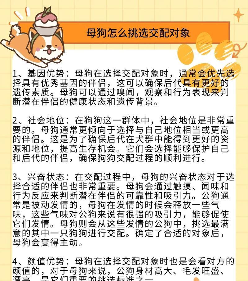 狗犬配种的合理时间间隔（狗犬配种的最佳间隔期是多久？）