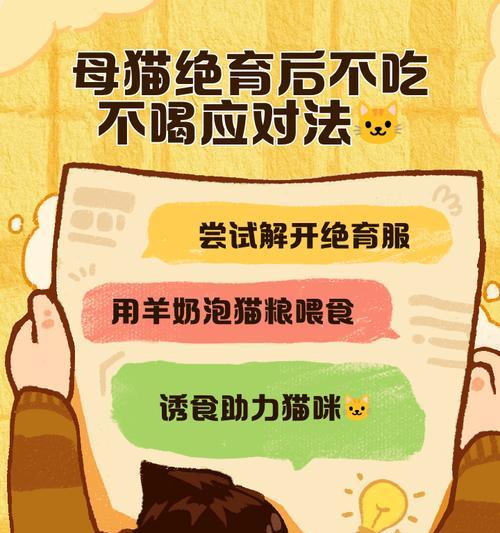 公猫绝育后多久可以恢复正常饮食？（关于公猫绝育手术后饮食恢复的一些注意事项）