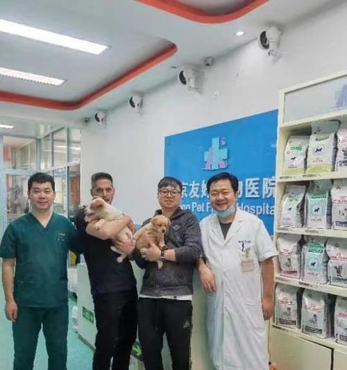 狗针接种后多久才能怀孕？（探讨狗针接种与怀孕之间的时间关系）