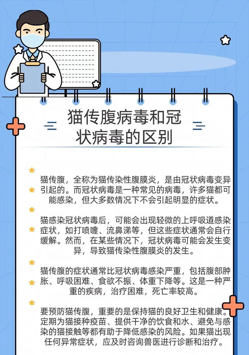 传腹猫的增加成为全球猫咪健康隐患（了解传腹猫的症状和预防方法，让我们的猫咪健康无忧）