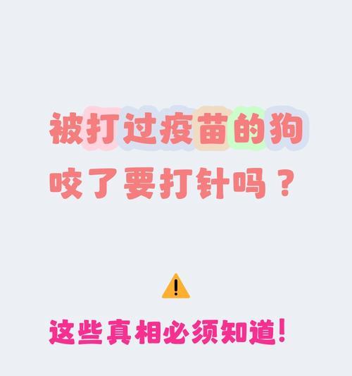 狗咬打针的有效期限究竟有多久？（解析狂犬病疫苗的保护时间及其关键因素）