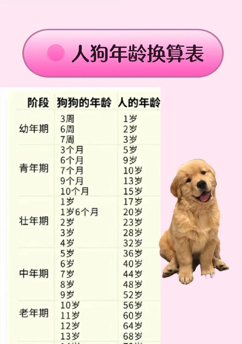 探索狗胡子的生长周期及影响因素（揭秘狗胡子的长出时间和生长速度，为宠物主人提供养护指南）
