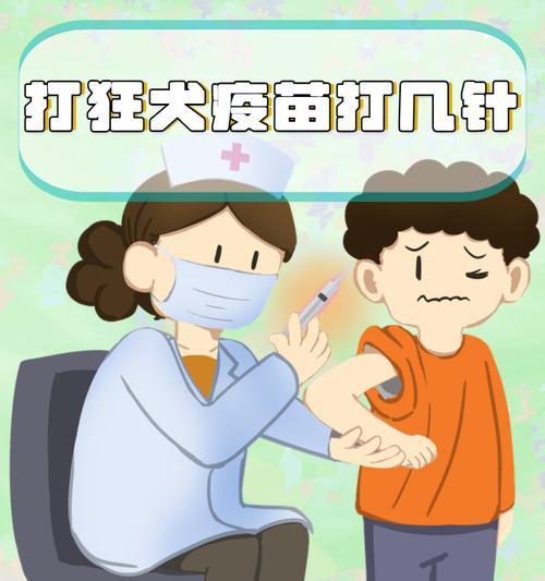 狂犬疫苗接种为何需要四针？（探究狂犬疫苗接种数量的重要性）