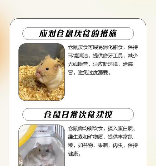 仓鼠饮食禁忌（了解仓鼠的饮食禁忌，守护它们的健康）