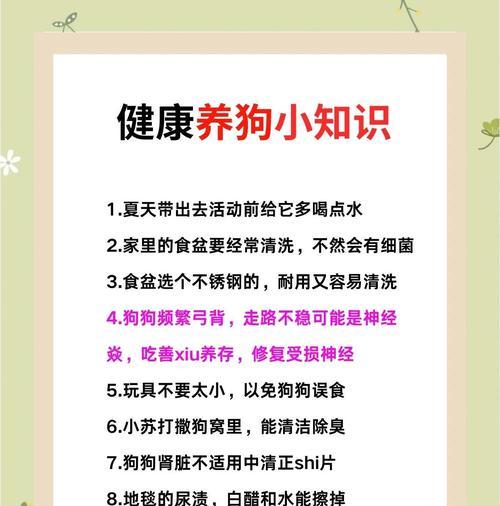 科学喂养拉布拉多的饮食规律（合理安排餐次，让拉布拉多健康成长）