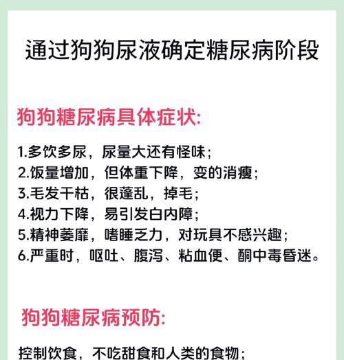 狗狗得了糖尿病，你知道吗？（糖尿病对狗狗的健康造成的危害以及预防方法）