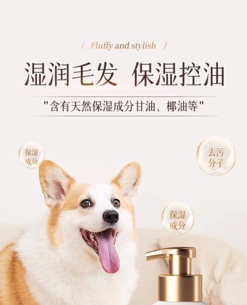 泰迪狗洗澡的时间间隔与方法（养泰迪狗要知道的洗澡常识）
