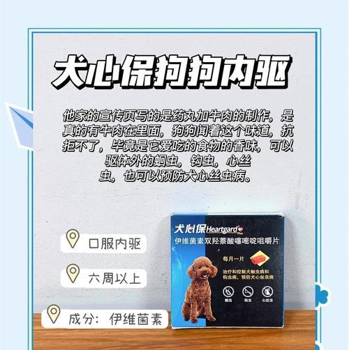 小狗驱虫药的使用时间（为小狗选择合适的驱虫时间，让它健康成长）