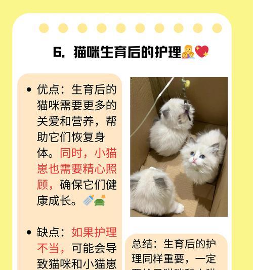 奶猫脐带脱落的时间（了解奶猫脐带脱落的过程及注意事项）