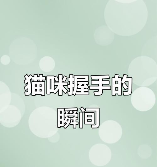 教猫咪握手的步骤及时间需求（培养猫咪握手技巧需要的耐心和耗时情况）