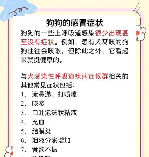 狗狗感冒（了解狗狗感冒的症状和应对方法）