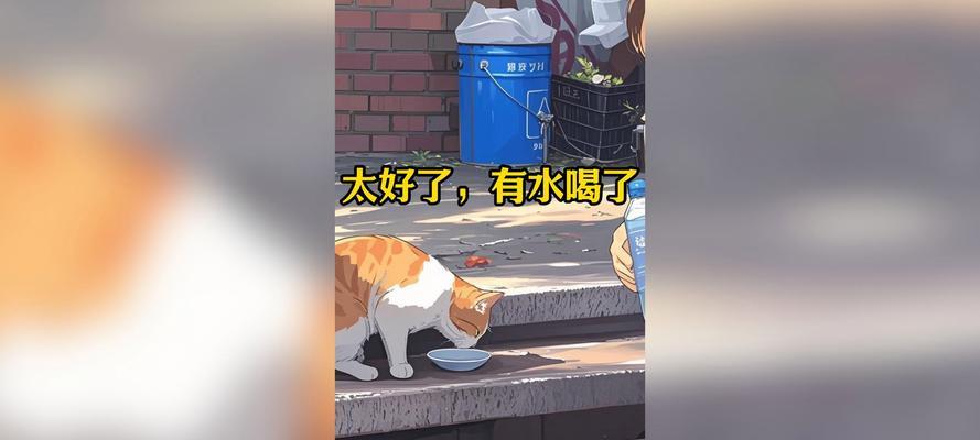 猫咪喝水多久换一次？（了解猫咪饮水周期，关爱毛孩健康）