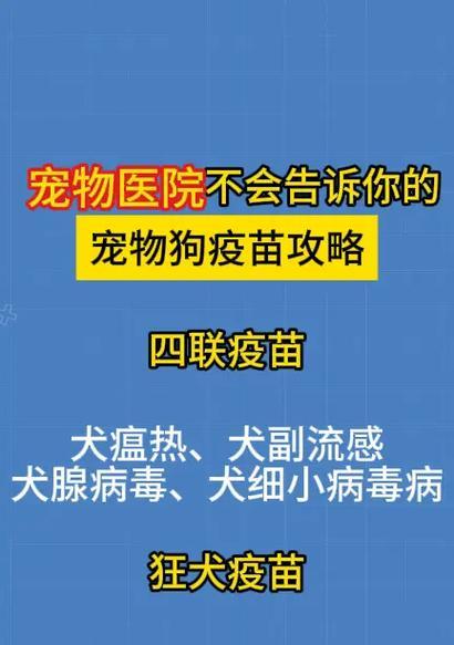 狗狗疫苗与驱虫时间表（狗狗打疫苗多久能打虫？）