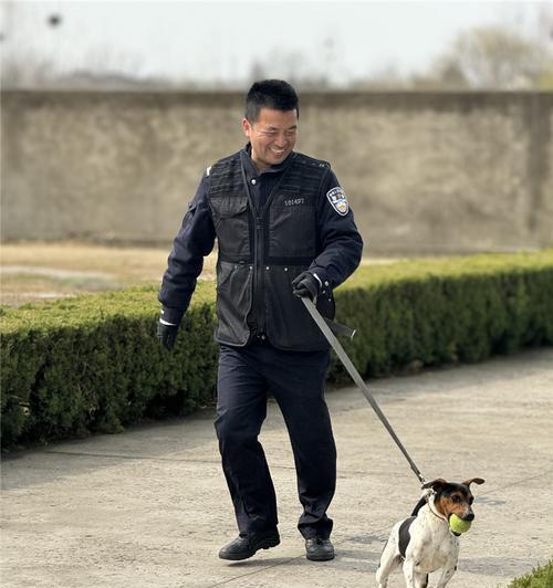 工作犬的训练科目与技能（从基础训练到专业技能，打造全面高效的工作犬队伍）
