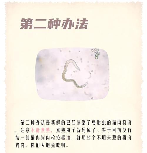 狗狗弓形虫检查管多久？（保护宠物和家庭的健康，弓形虫检查管多久一次足够？）