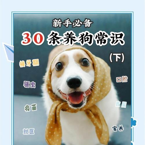狗接种第二针疫苗后多久可以进行驱虫？（疫苗接种和驱虫时间间隔的关键信息）