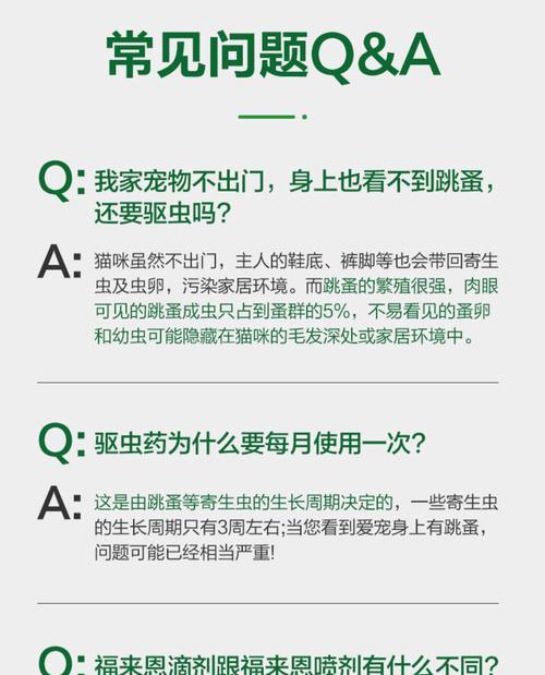 猫咪体外驱虫（揭秘猫咪体外驱虫时间间隔及注意事项）