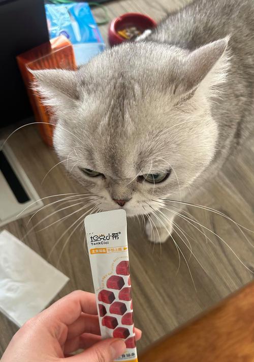 揭秘猫咪是否对零食上瘾？（如何判断猫咪是否过度依赖零食猫咪、零食、上瘾、依赖）