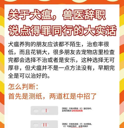 守护爱宠健康，预防犬瘟病（无法完全治愈的疾病，主人需做好预防工作）