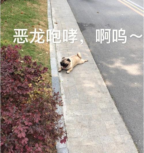 以巴哥运动后的喘息时间有多久？（探究以巴哥运动后喘息的时长及相关因素）
