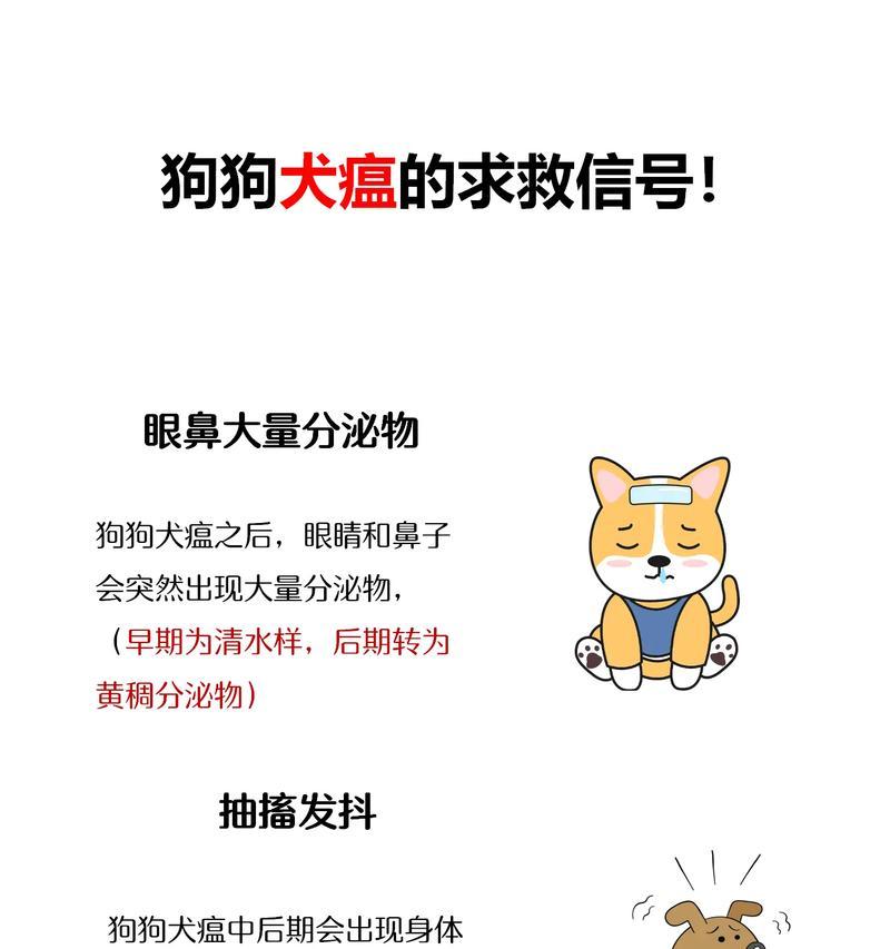 狗狗的健康问题（如何准确识别宠物犬的疾病，并及时采取措施）