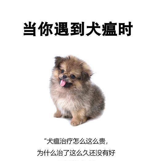犬瘟与普通感冒的区分及确诊方法（如何确定犬瘟感染？如何辨别犬瘟和普通感冒？了解关键信息）