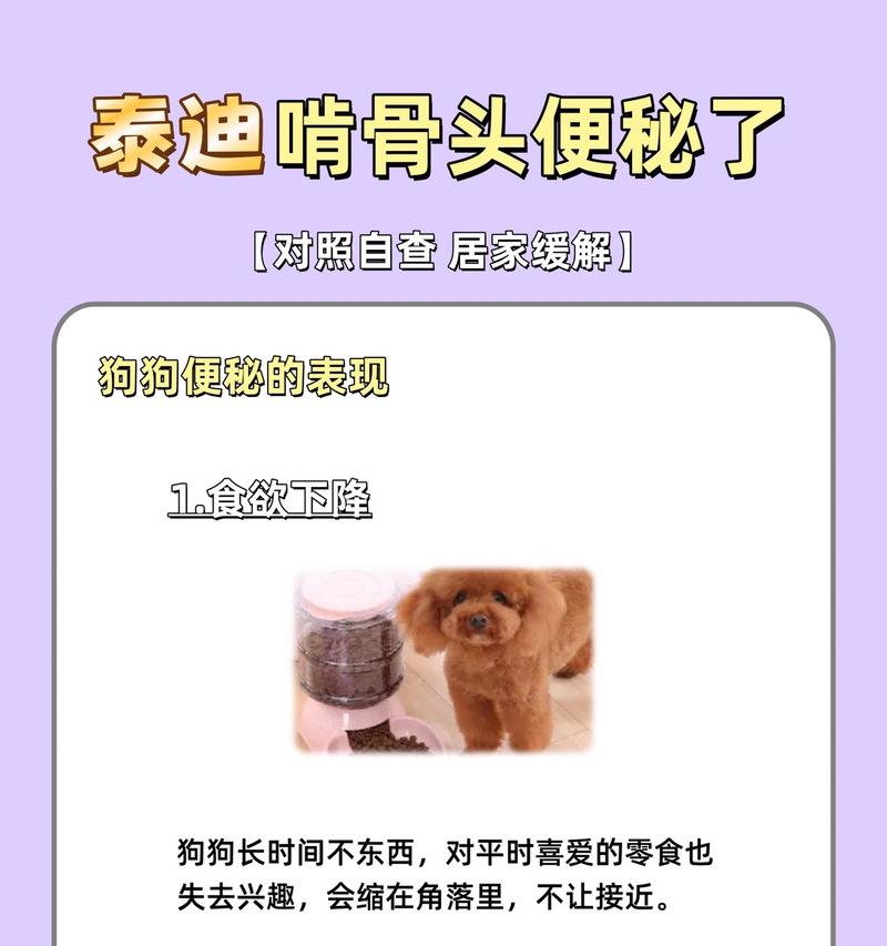 如何训练泰迪不乱咬东西？（快速、有效地解决泰迪乱咬问题的方法）