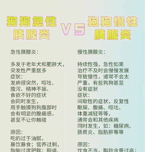 小狗受凉和肠胃炎的症状及治疗措施（小狗受凉和肠胃炎可能出现的症状和如何进行治疗）